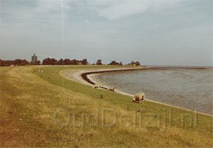 japdijk_kleur_2.jpg
